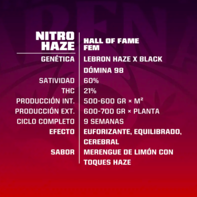 Experimenta la potencia y el sabor único de Nitro Haze X12 de Bsf Seeds en Novaweed
