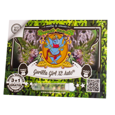 Cultiva una cosecha potente y sabrosa con Gorilla Girl XL Auto 3+1 Uds de Sweet Seeds en Novaweed