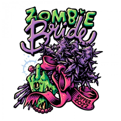Semillas Zombie Bride 3uds de Ripper Seeds: Sabor y aroma únicos para tu cosecha en Novaweed