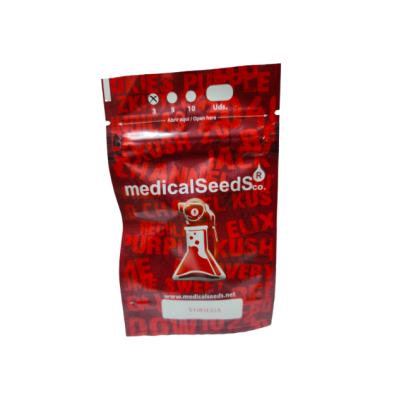 Y Griega 3Uds - Medical Seeds - Estimulante y creativa. ¡Compra ahora en Novaweed!