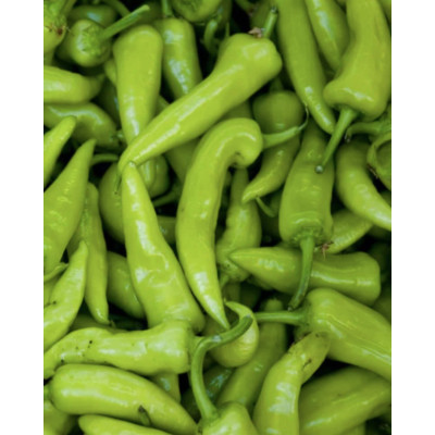 Ají Cristal: Cultivo, Cuidados y Características de este Chile Dulce-Picante | Guía Completa