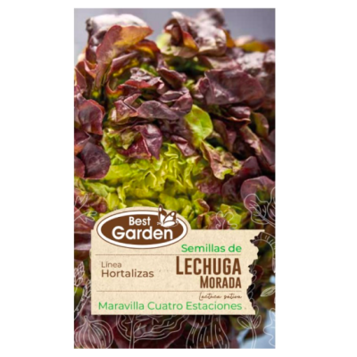 Semilla Lechuga Morada 5Gr - Best Garden | Cultivo Rápido en Invierno Semilla Lechuga Morada 5Gr - Best Garden | Cultivo Rápido en Invierno