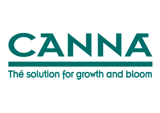 Canna