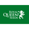 Royal Queen Seeds